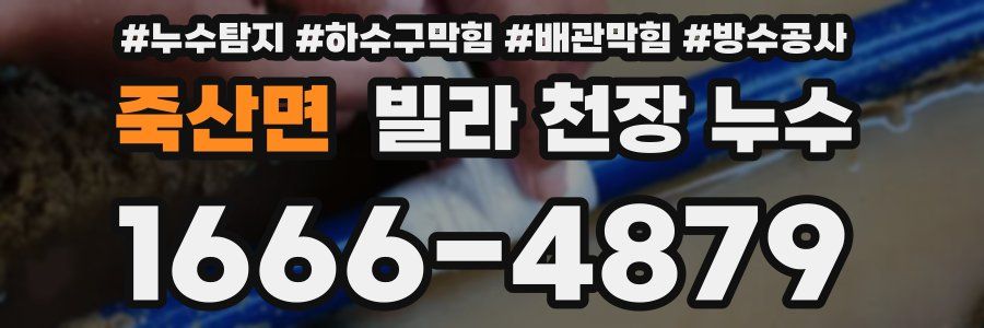 죽산면 빌라 천장 누수