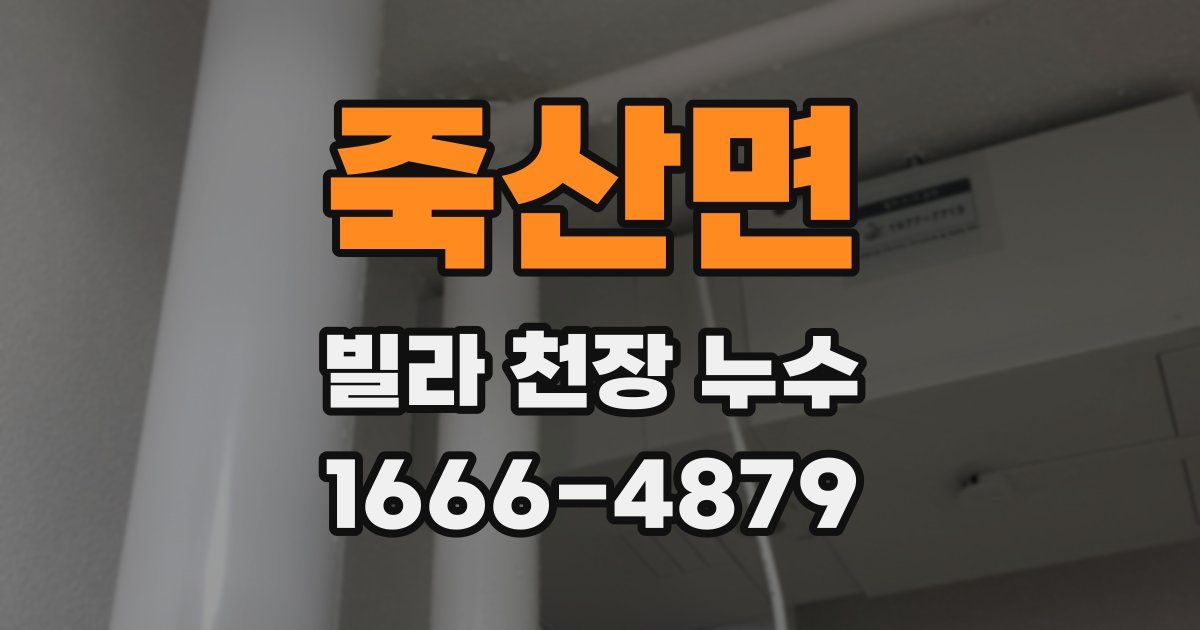 죽산면 빌라 천장 누수
