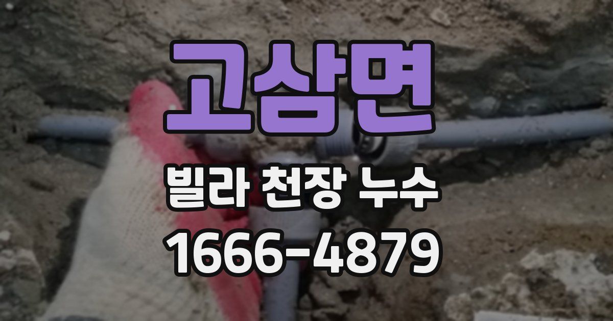고삼면 빌라 천장 누수