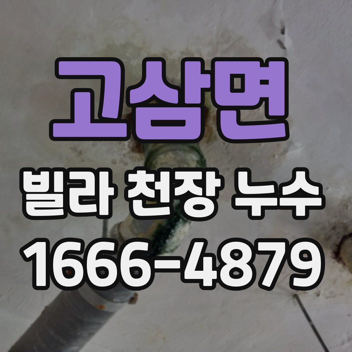 고삼면 빌라 천장 누수
