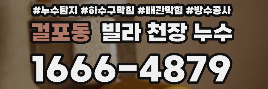 걸포동 빌라 천장 누수