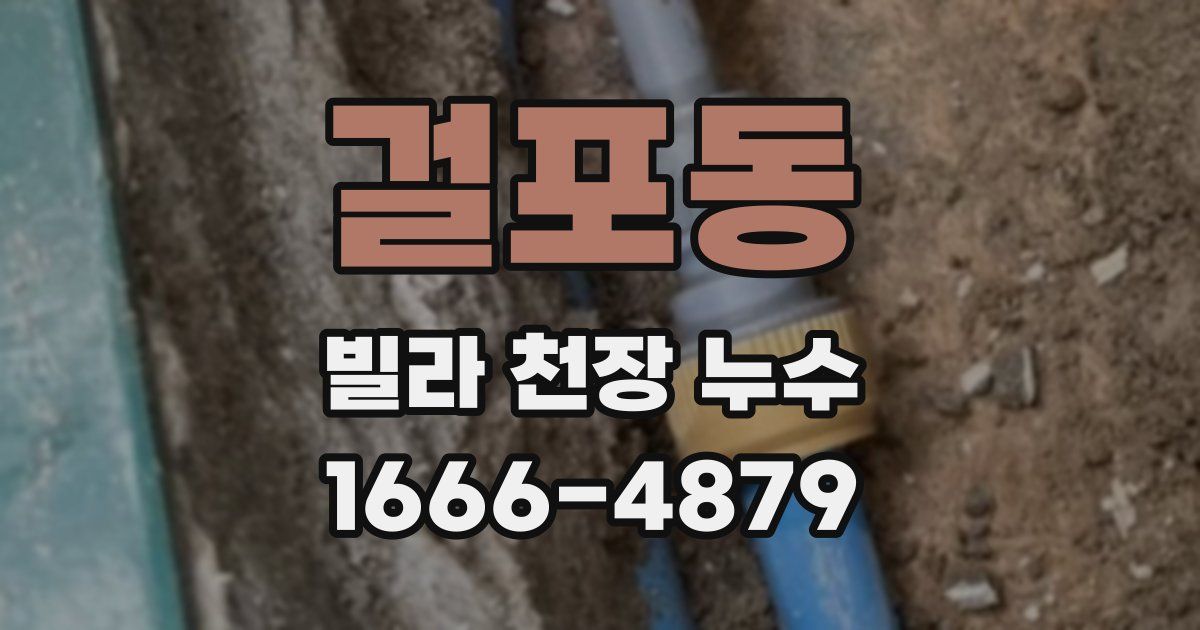 걸포동 빌라 천장 누수