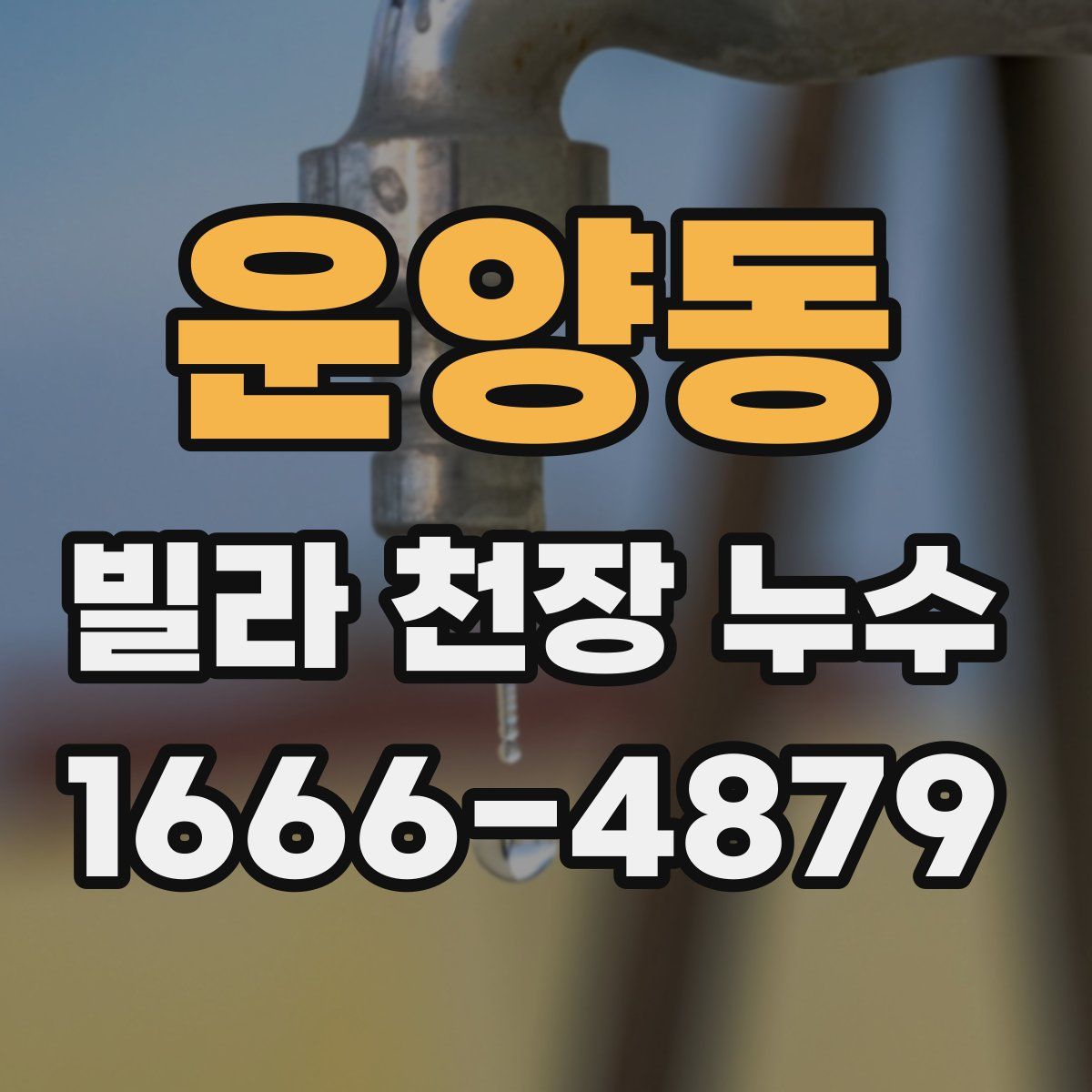 운양동 빌라 천장 누수