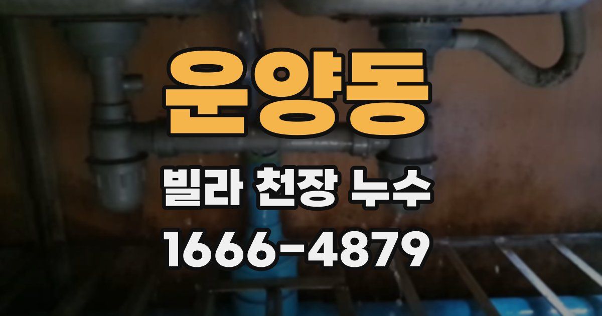 운양동 빌라 천장 누수