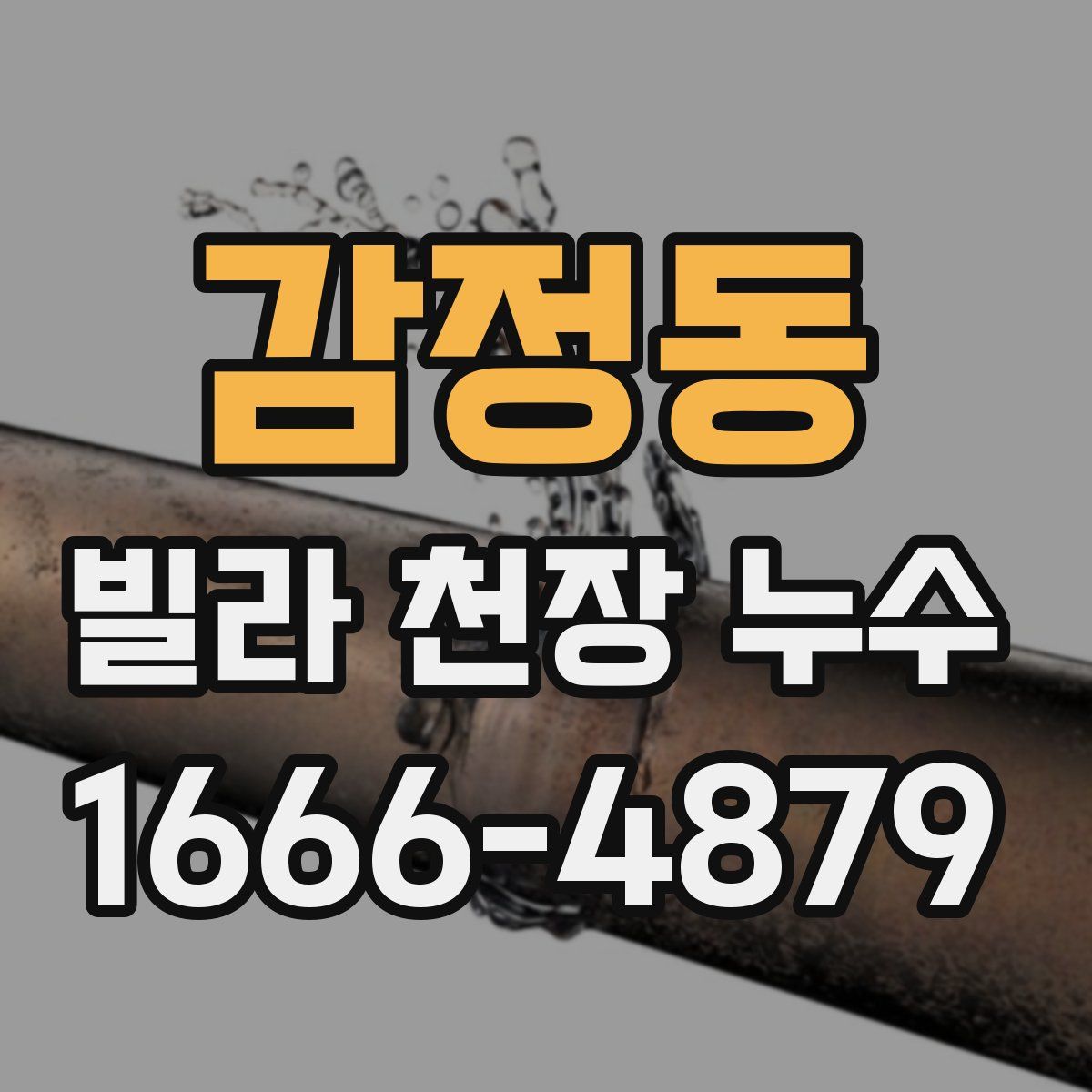 감정동 빌라 천장 누수