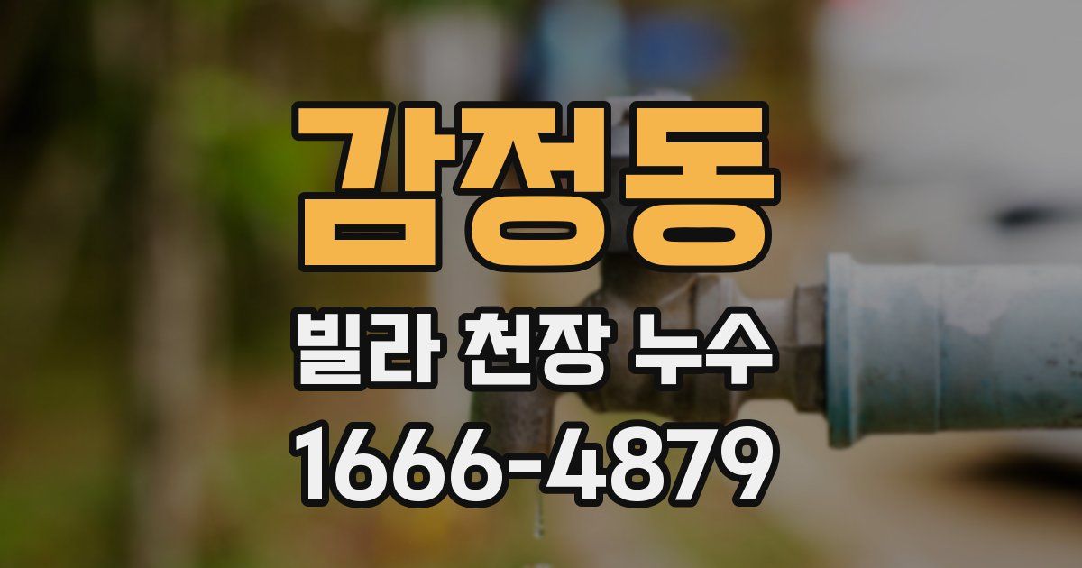 감정동 빌라 천장 누수