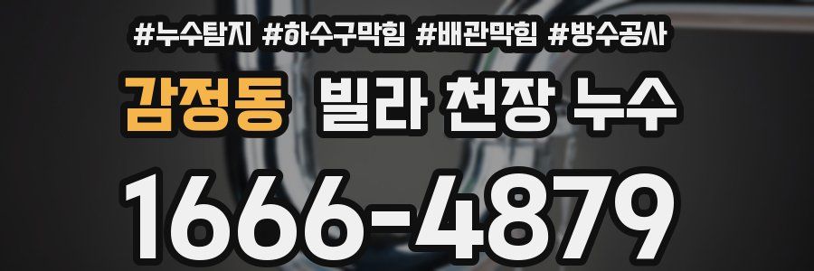 감정동 빌라 천장 누수
