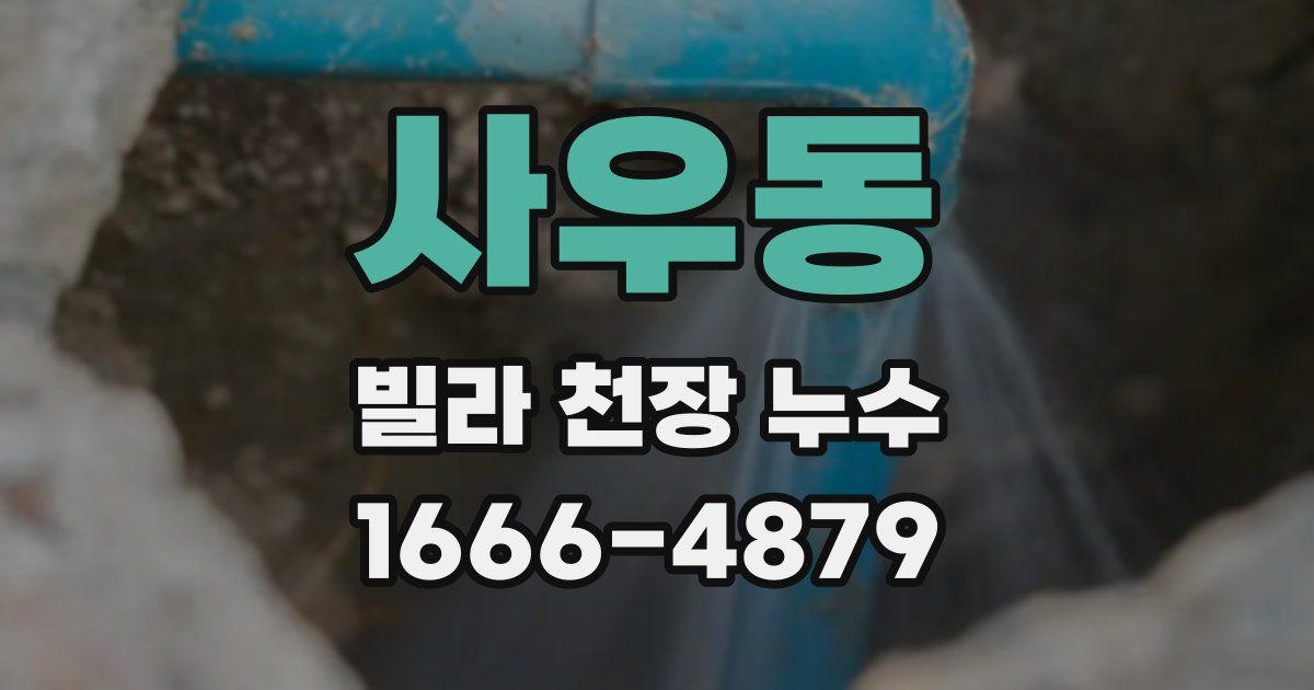 사우동 빌라 천장 누수