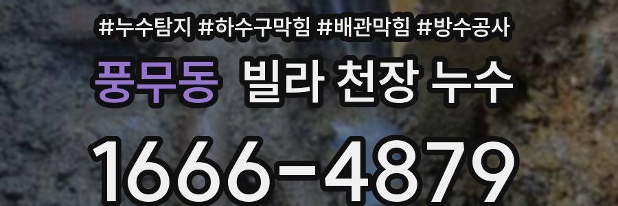 풍무동 빌라 천장 누수
