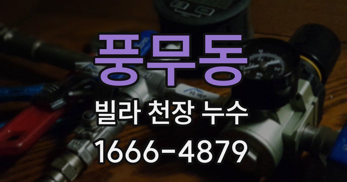 풍무동 빌라 천장 누수