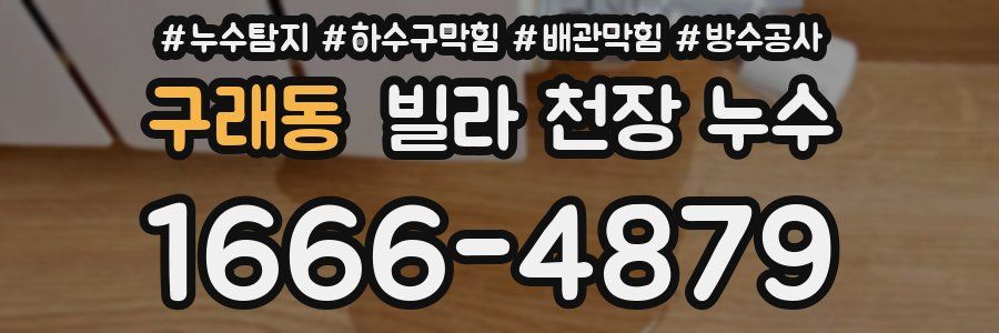 구래동 빌라 천장 누수