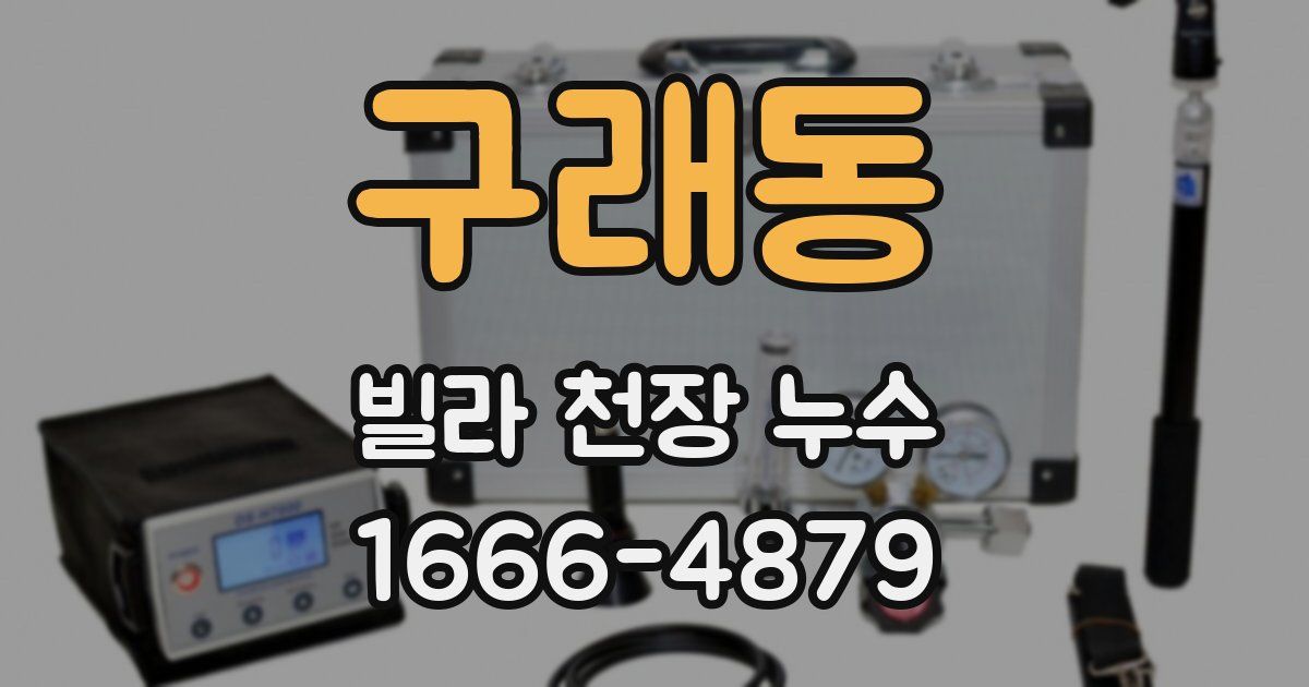 구래동 빌라 천장 누수