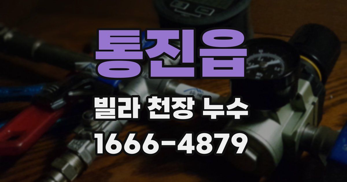 통진읍 빌라 천장 누수