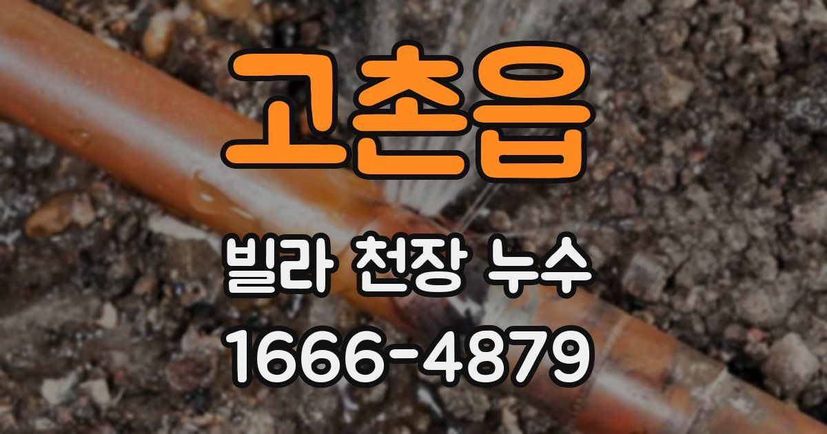고촌읍 빌라 천장 누수