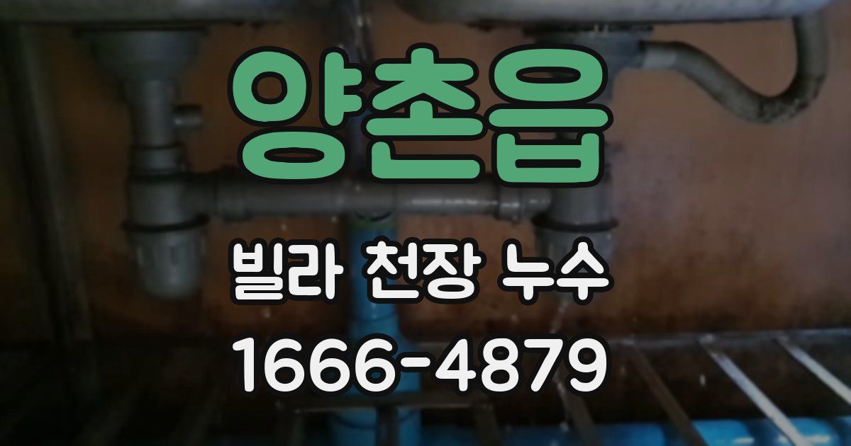 양촌읍 빌라 천장 누수