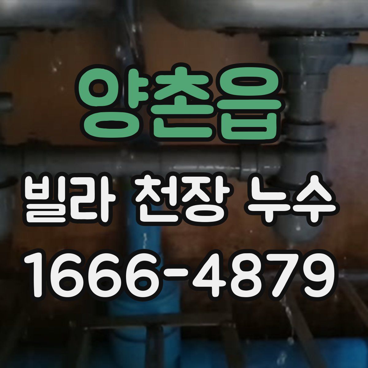 양촌읍 빌라 천장 누수