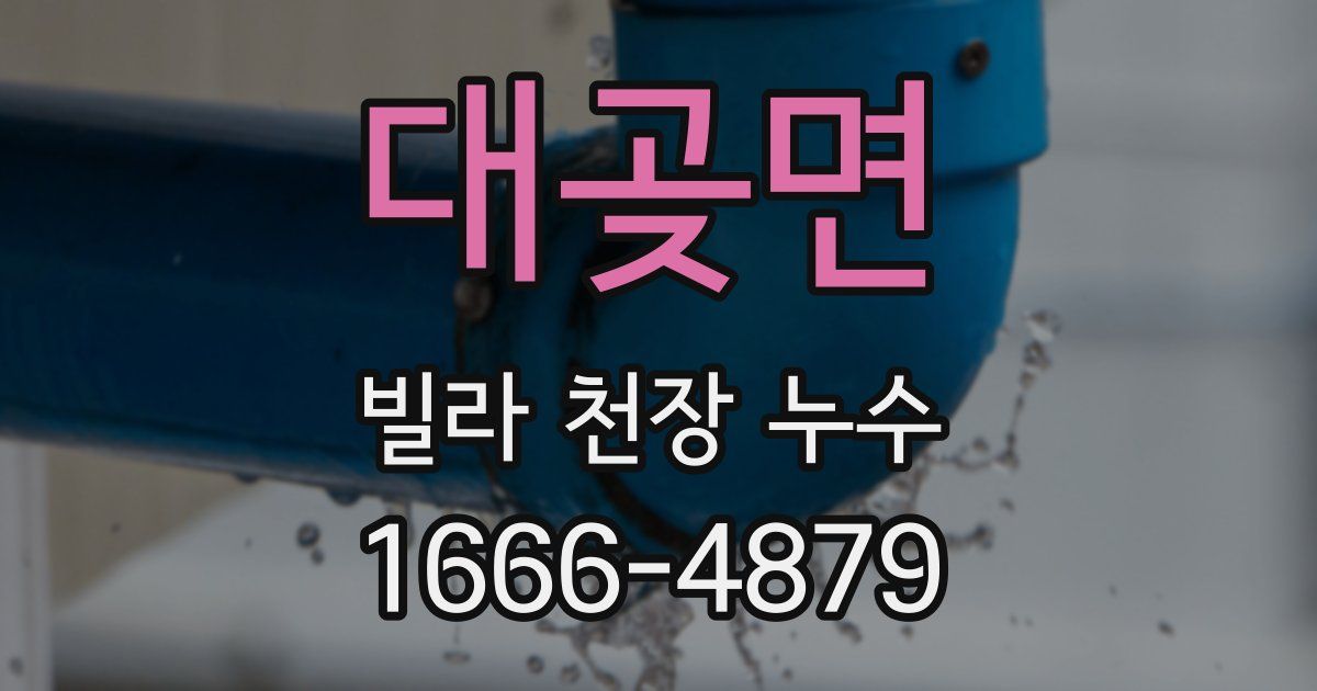 대곶면 빌라 천장 누수