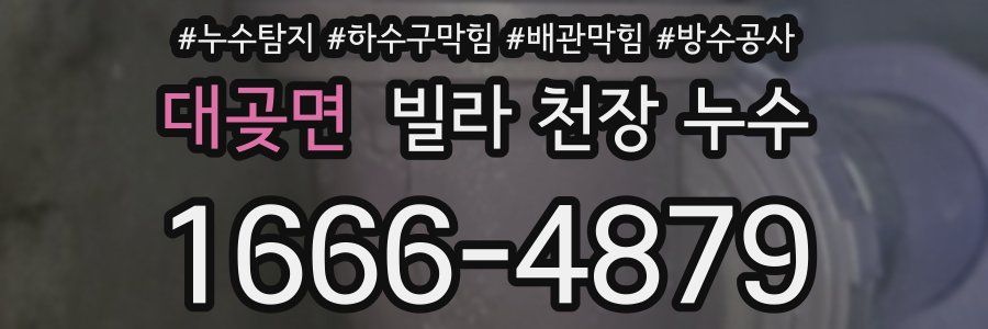 대곶면 빌라 천장 누수