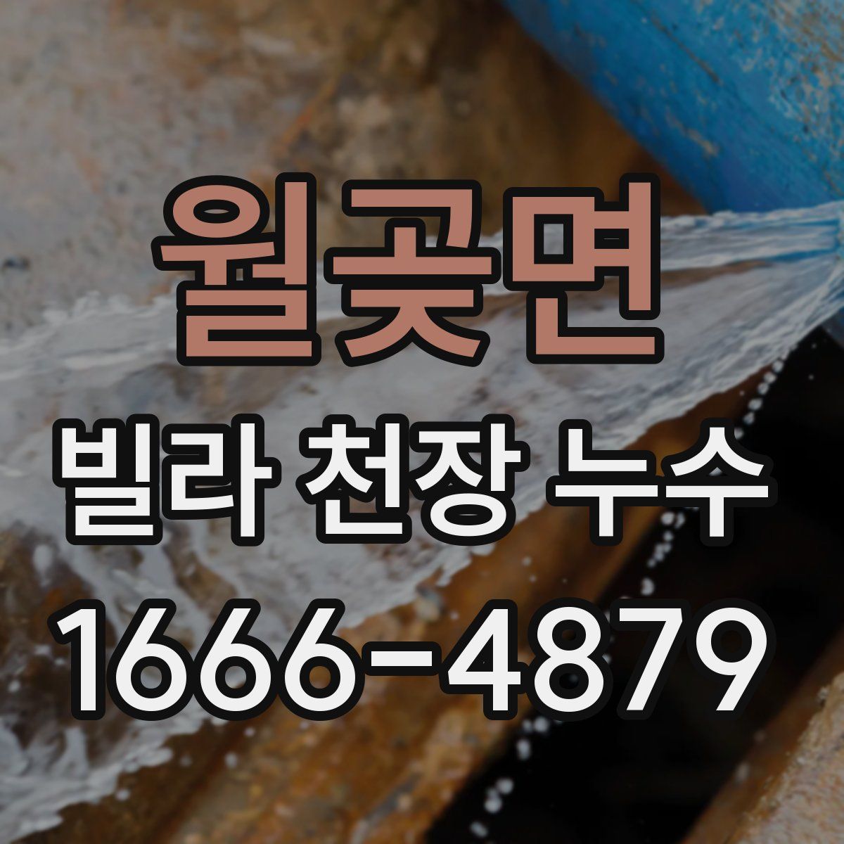 월곶면 빌라 천장 누수