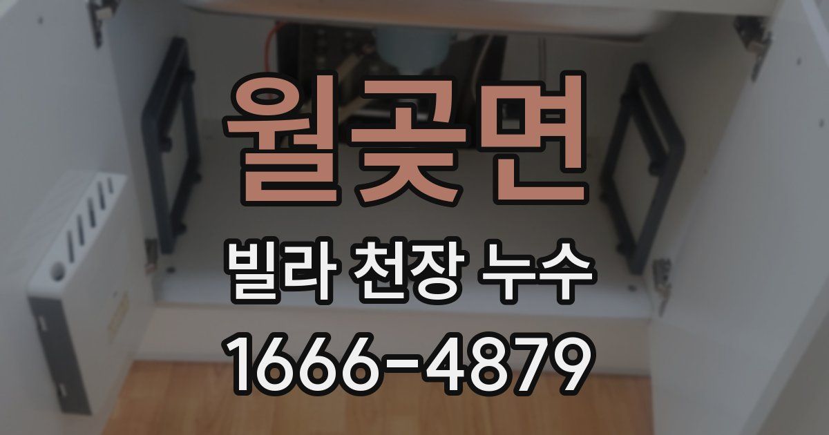 월곶면 빌라 천장 누수