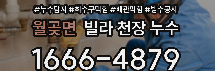 월곶면 빌라 천장 누수