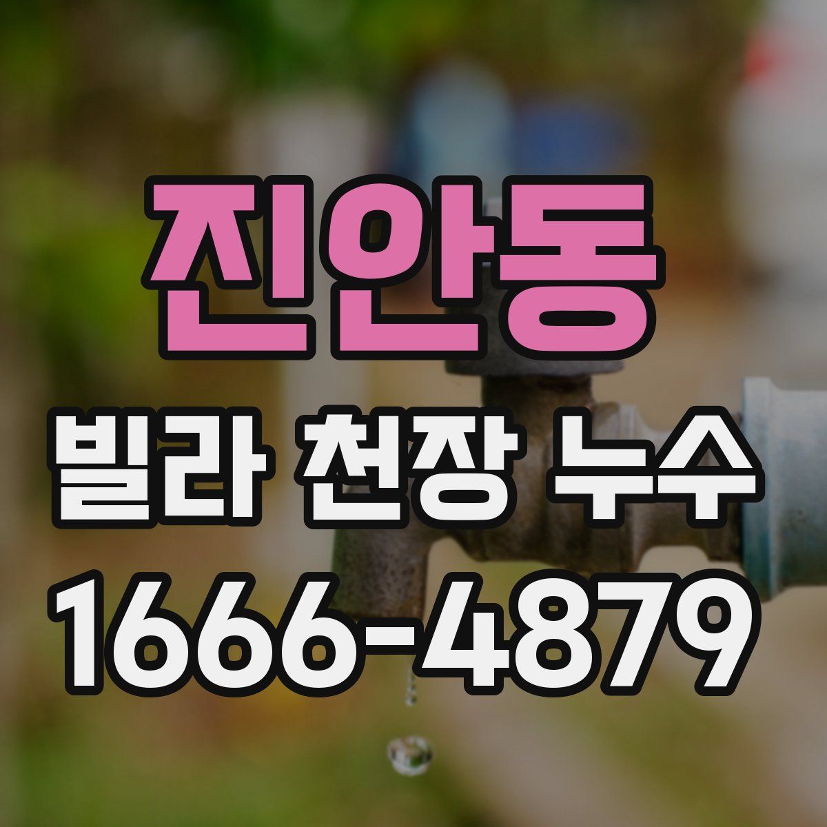 진안동 빌라 천장 누수