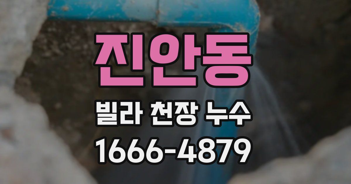진안동 빌라 천장 누수