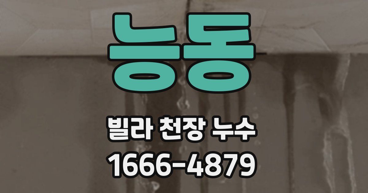 능동 빌라 천장 누수