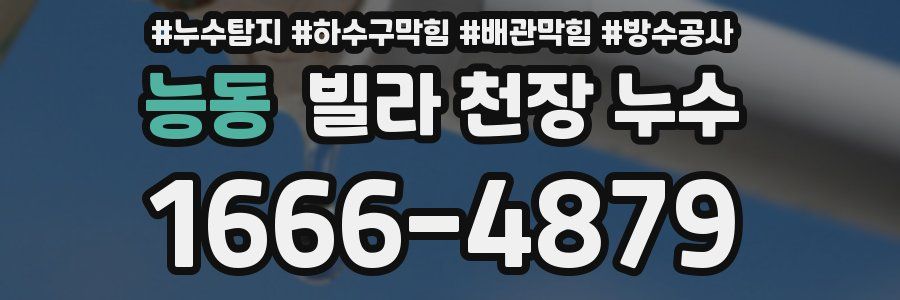 능동 빌라 천장 누수