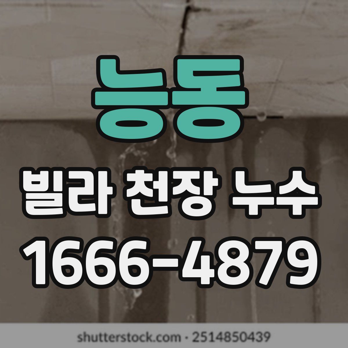 능동 빌라 천장 누수