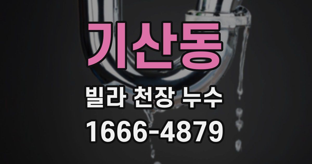 기산동 빌라 천장 누수
