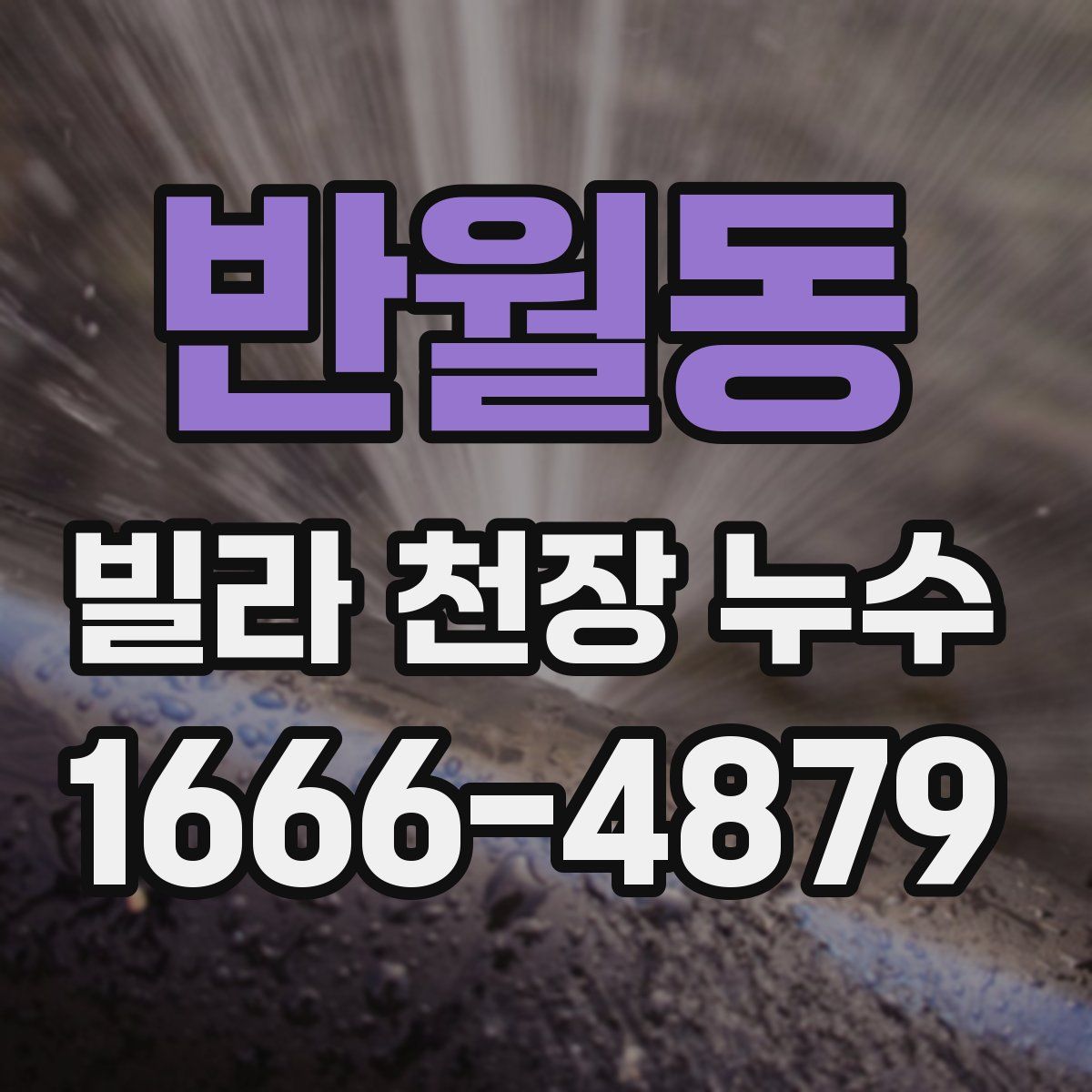 반월동 빌라 천장 누수