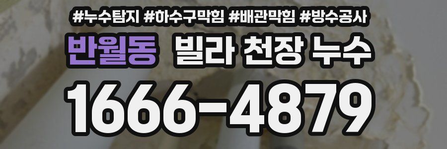 반월동 빌라 천장 누수