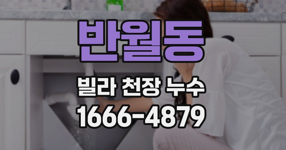 반월동 빌라 천장 누수