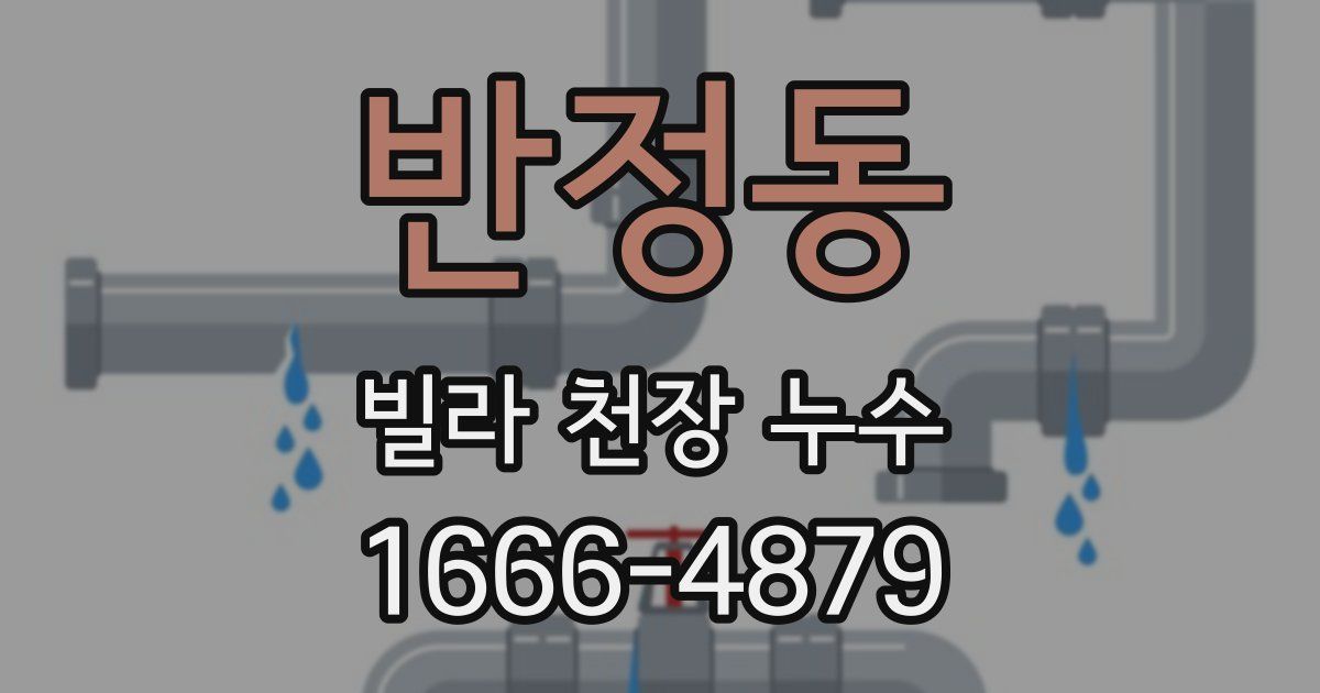 반정동 빌라 천장 누수