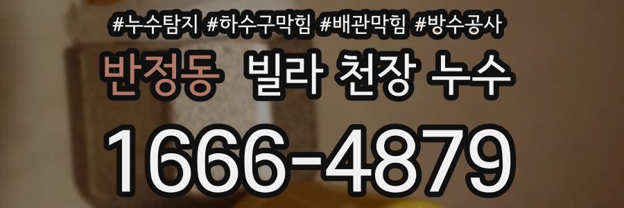 반정동 빌라 천장 누수