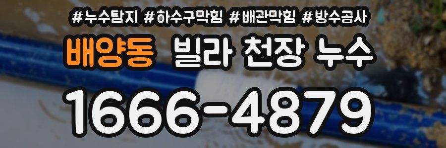 배양동 빌라 천장 누수