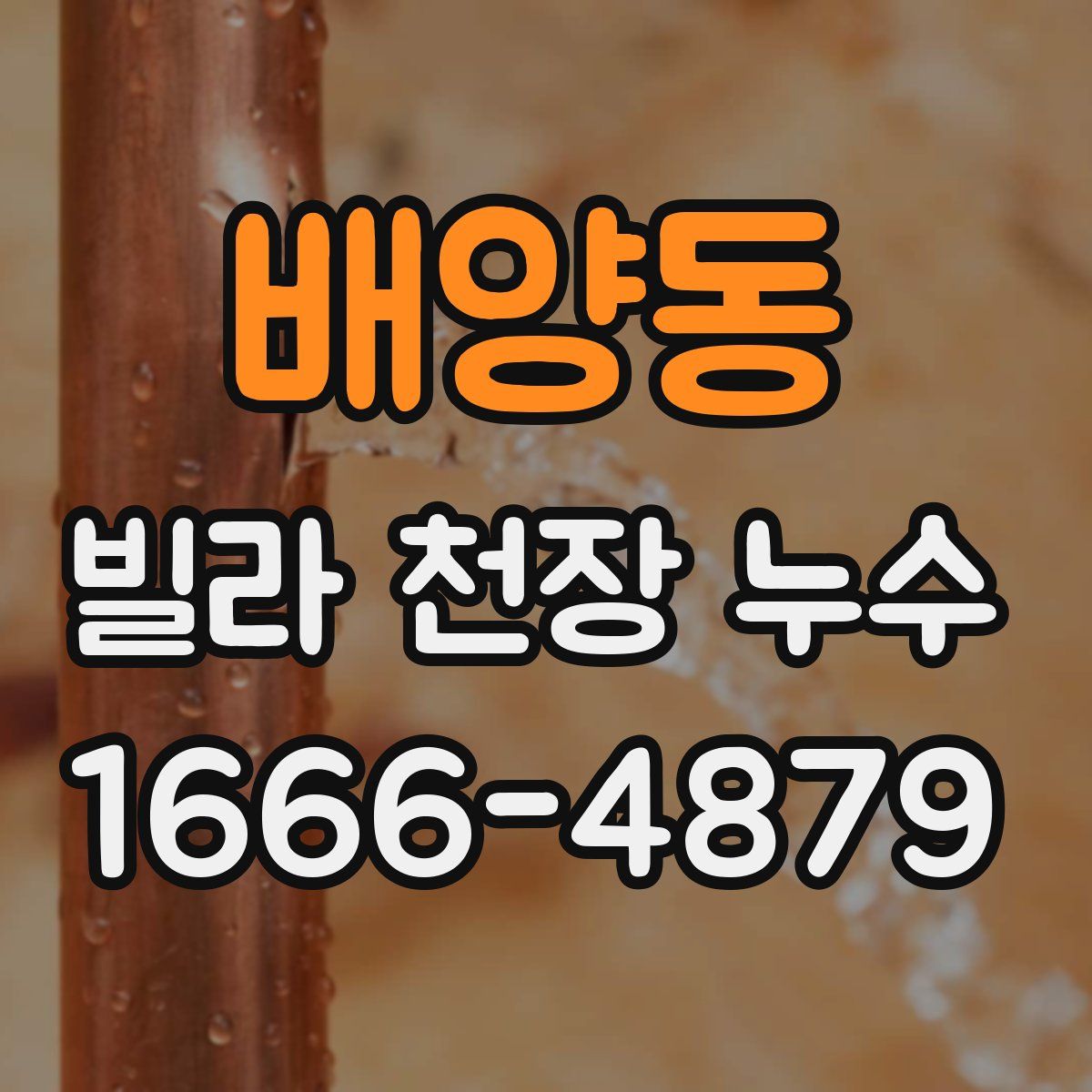 배양동 빌라 천장 누수