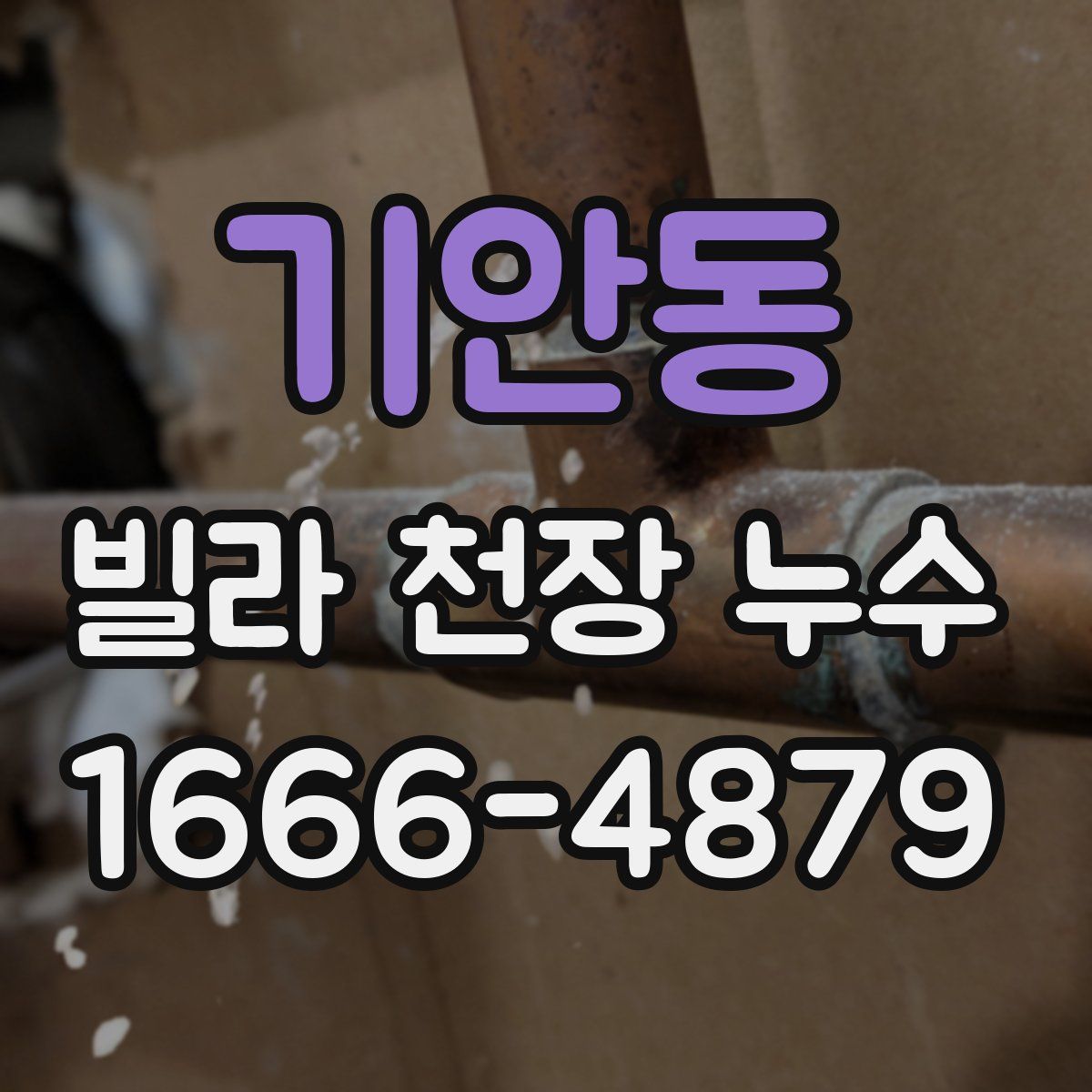 기안동 빌라 천장 누수