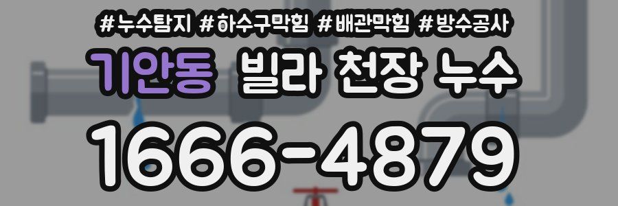 기안동 빌라 천장 누수