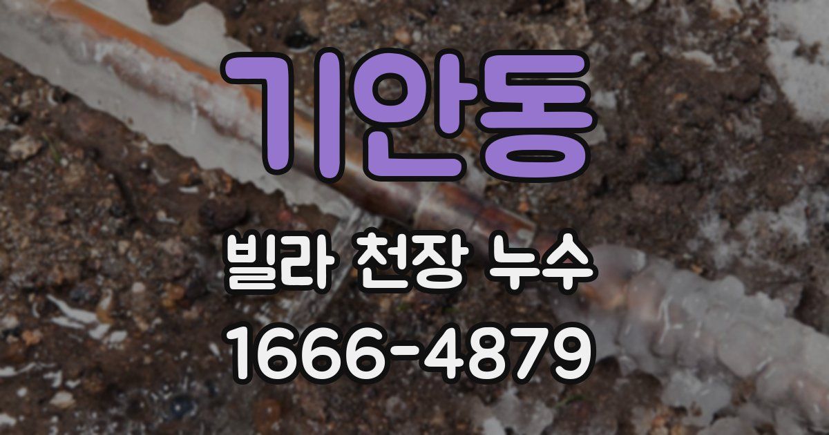 기안동 빌라 천장 누수