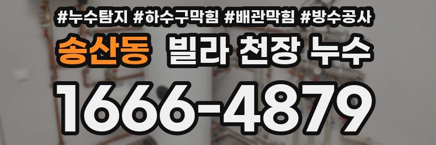 송산동 빌라 천장 누수