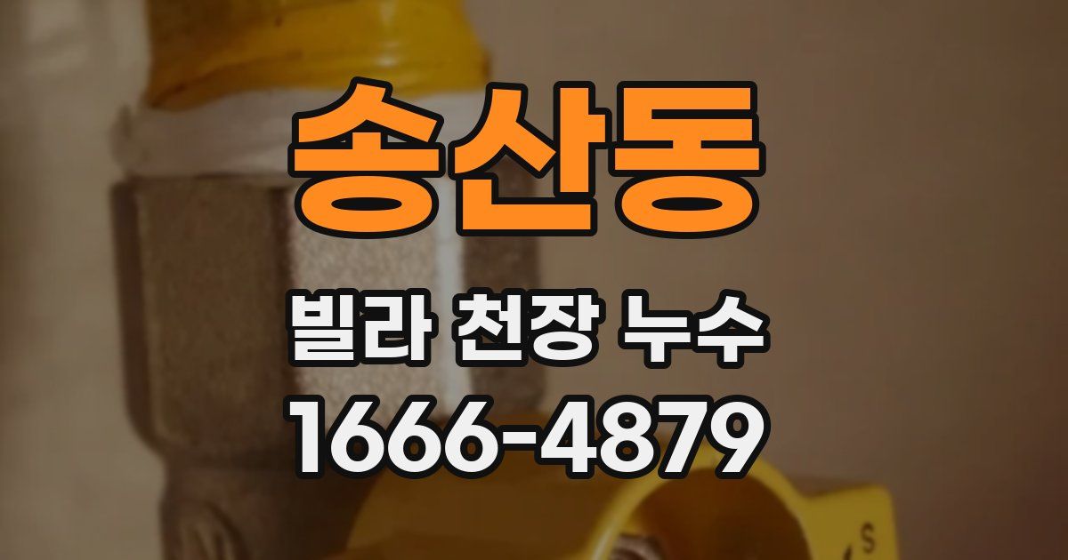 송산동 빌라 천장 누수