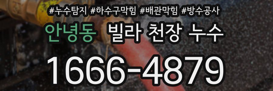 안녕동 빌라 천장 누수