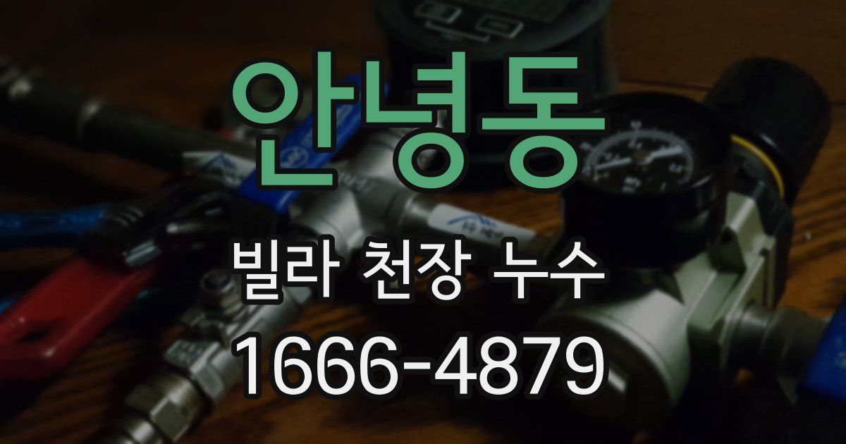 안녕동 빌라 천장 누수
