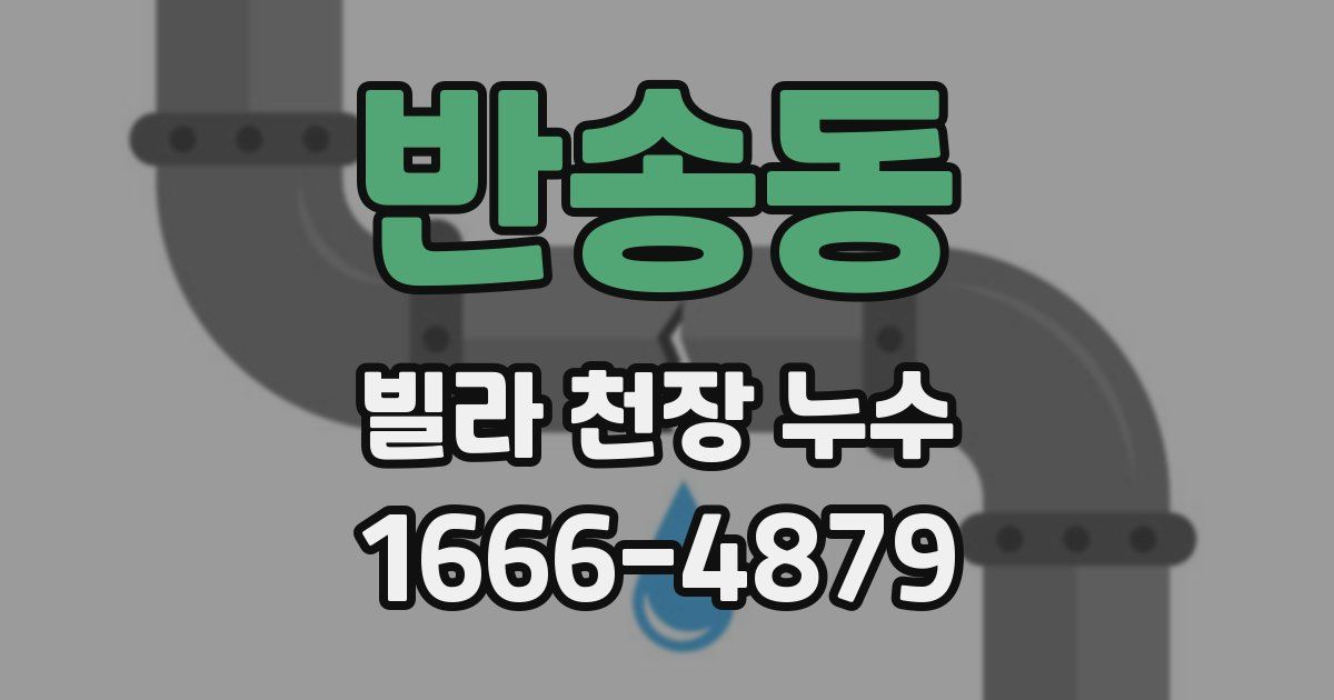 반송동 빌라 천장 누수