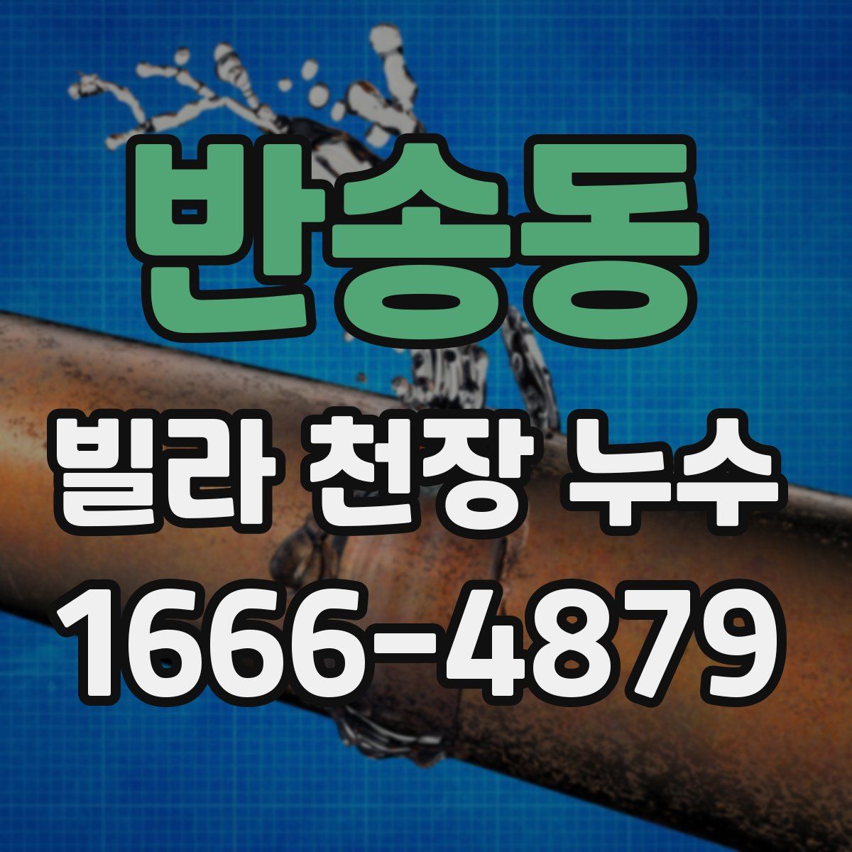 반송동 빌라 천장 누수