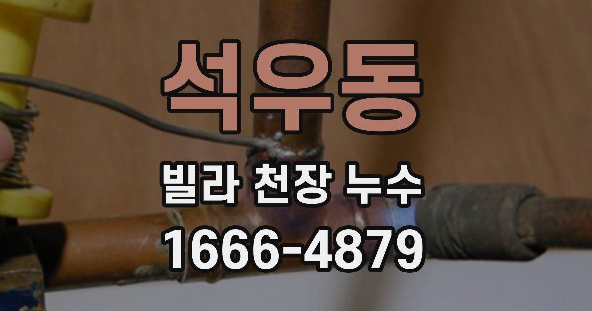 석우동 빌라 천장 누수