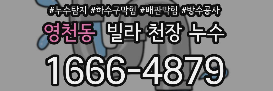 영천동 빌라 천장 누수