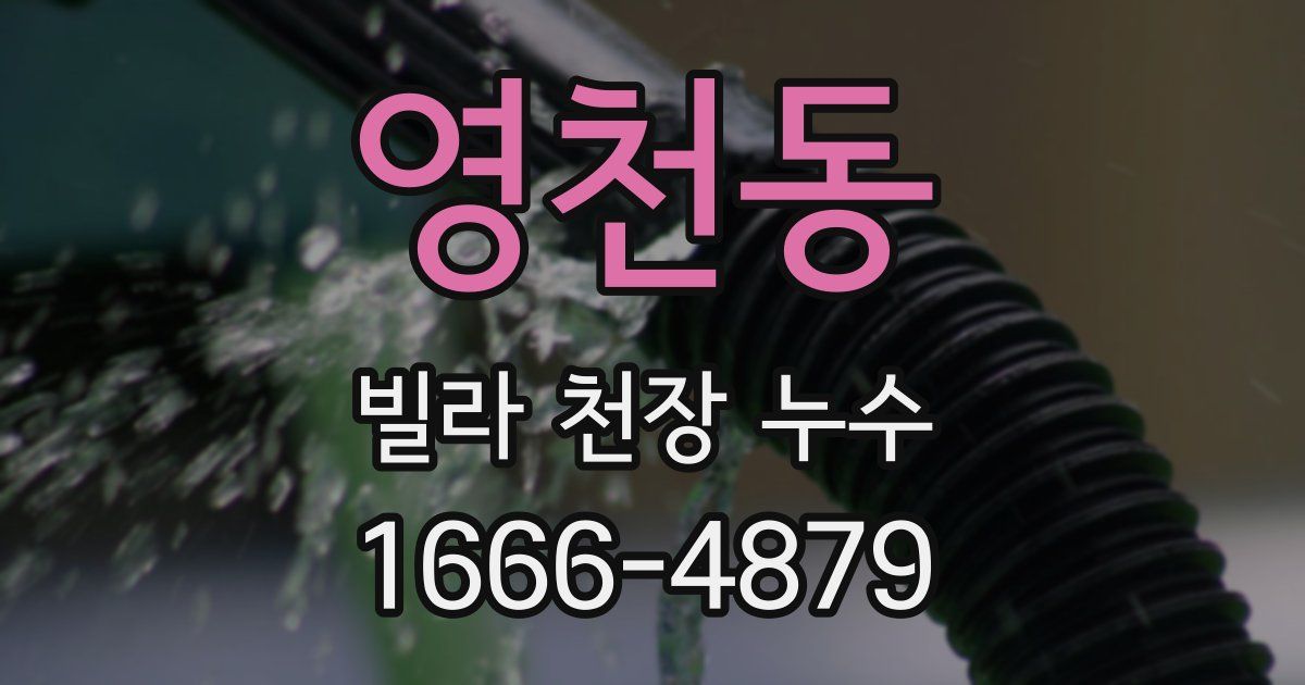영천동 빌라 천장 누수